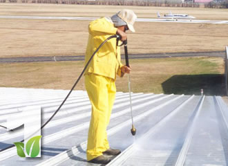 roof cleaning